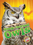 Image for "Great Horned Owls"