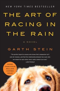 Cover image of Art of Racing in the Rain