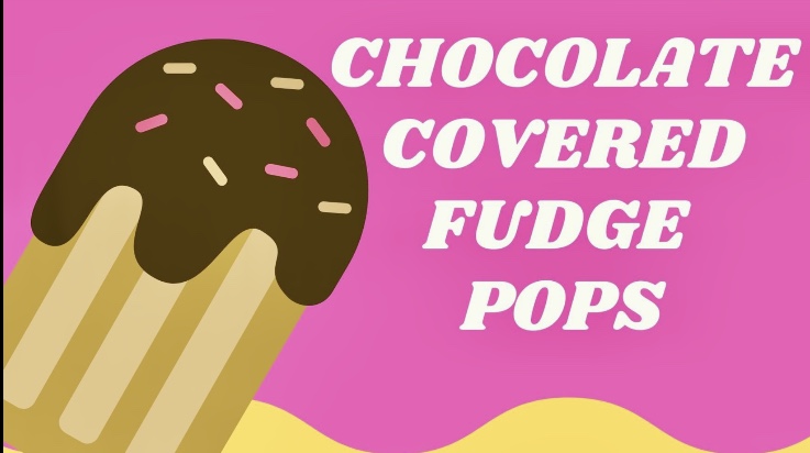 Chocolate Covered Fudge Pops