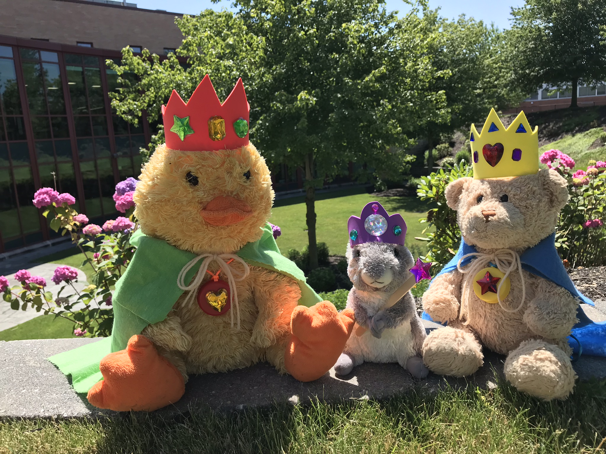 Stuffed animals wearing crowns and cloaks
