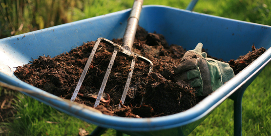 Photo of a wheelbarrow filled with compost.