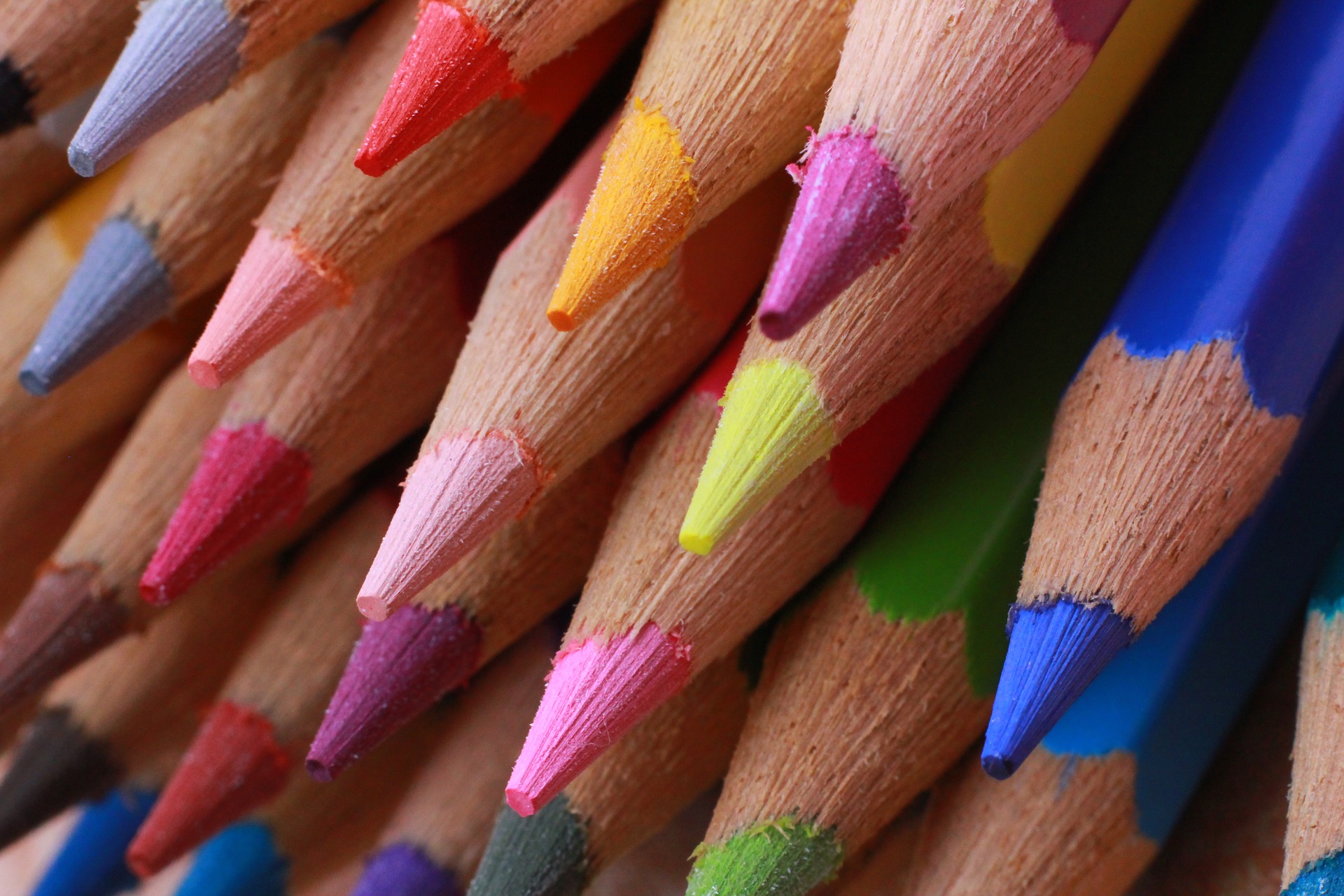 A photo of colored pencils.