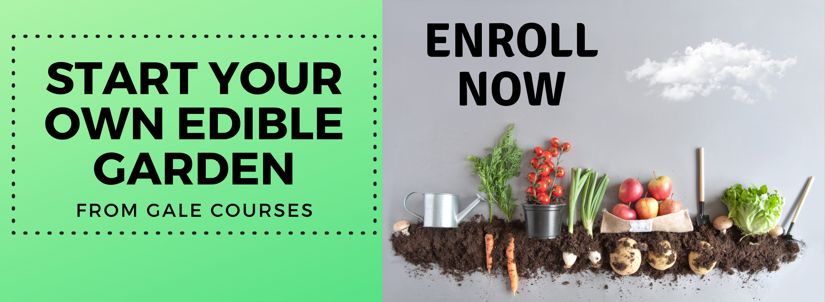 slideshow image that says "Start your own edible garden from Gale Courses. Enroll now". There is a stylized image of soil and vegetables laid flat to simulate a growing garden. 