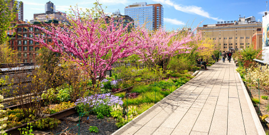 A photo of a garden along The Highline in New York City. 