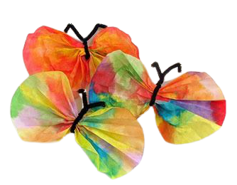 Tye-dye butterfly craft