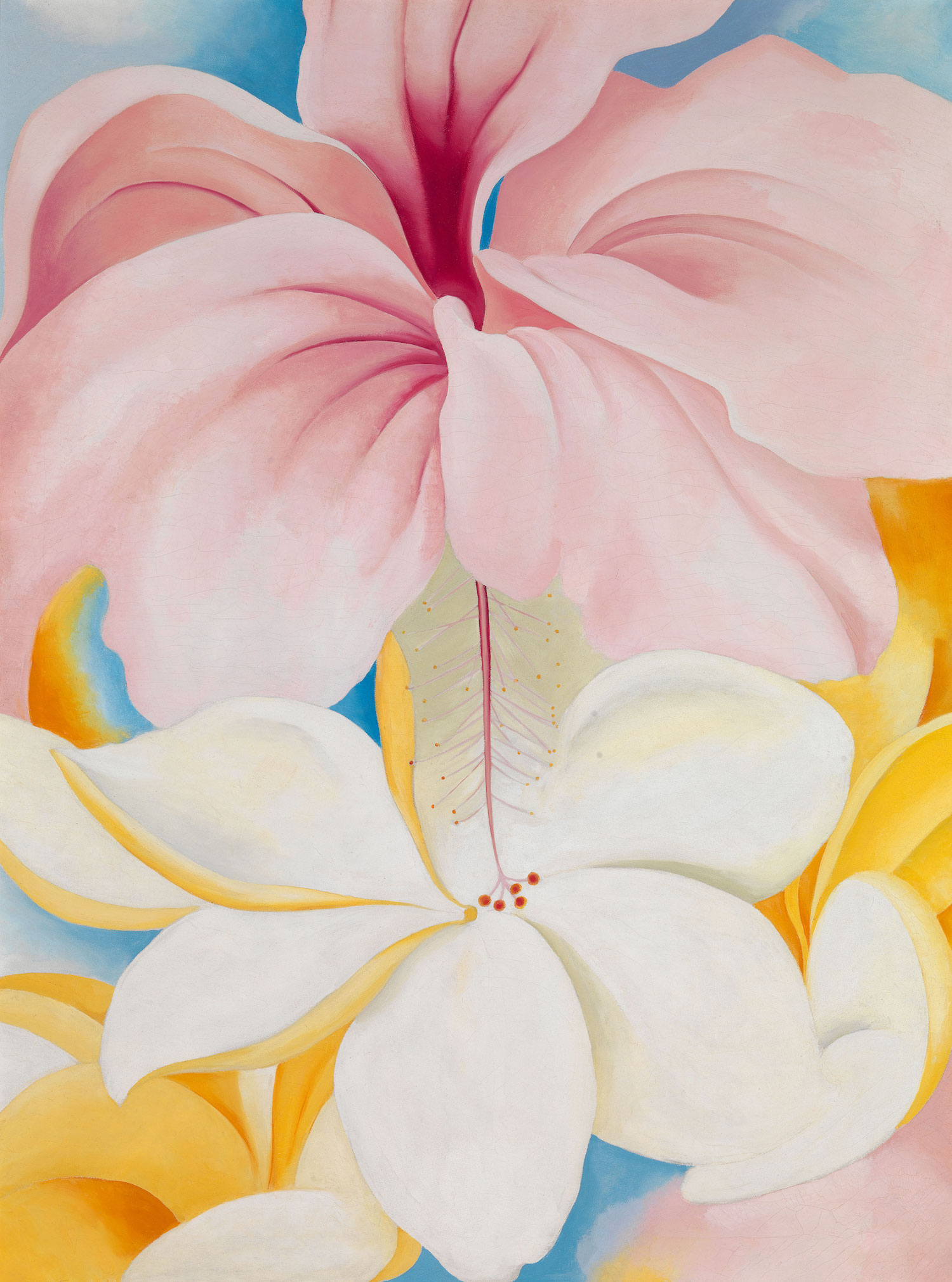 A picture of Georgia O'Keefe's hibiscus painting.