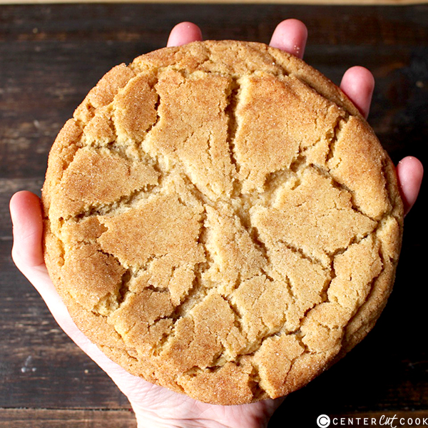 Photo of a hand holding a large snickerdoodle cookie.