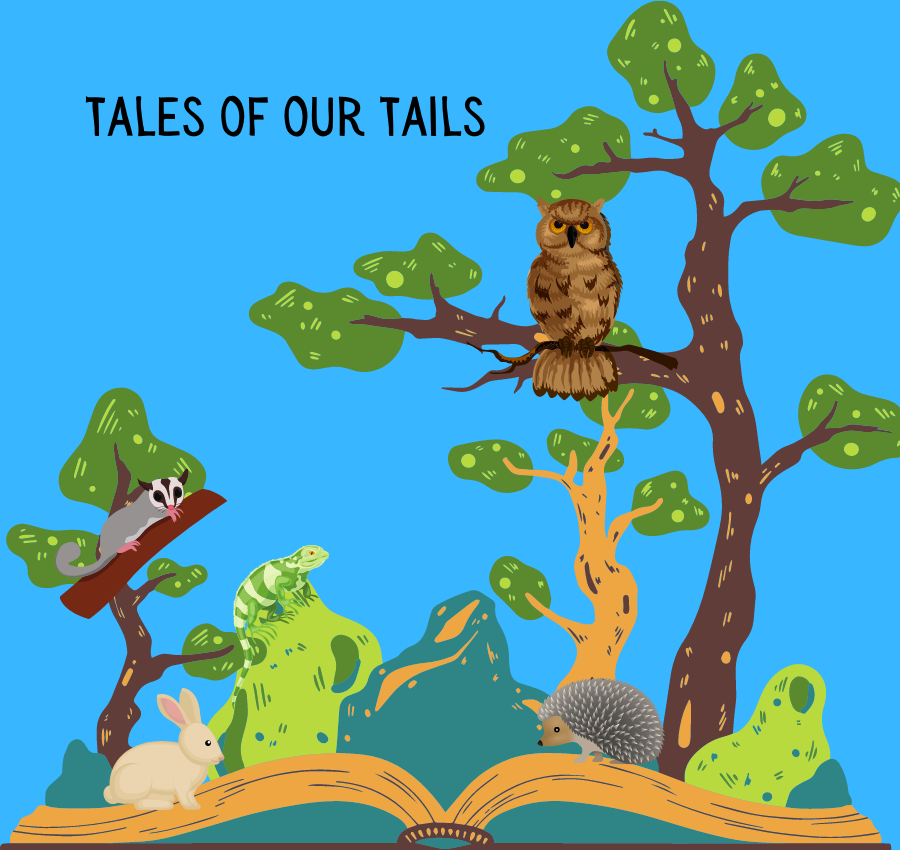 Tales of our Tails image