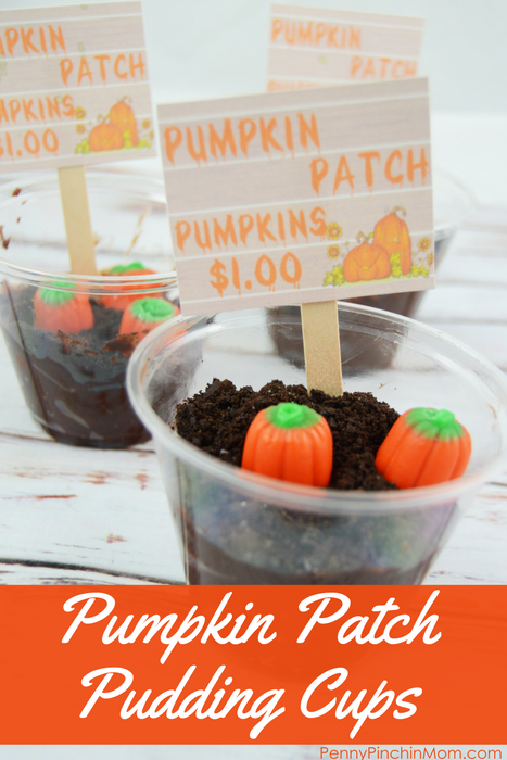 pumpkin patch pudding cups