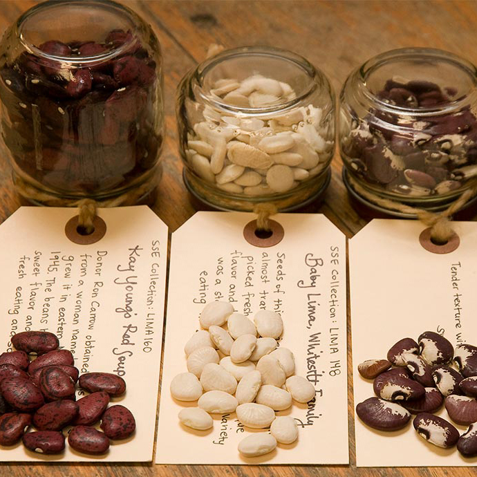 A photo of jars of seeds and corresponding labels.
