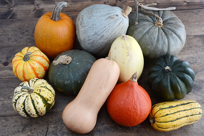 A photo of various varieties of winter squash, including butternut and delicate.