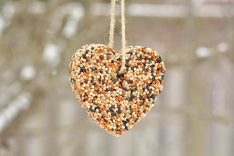 Photo of a heart-shaped bird seed feeder.