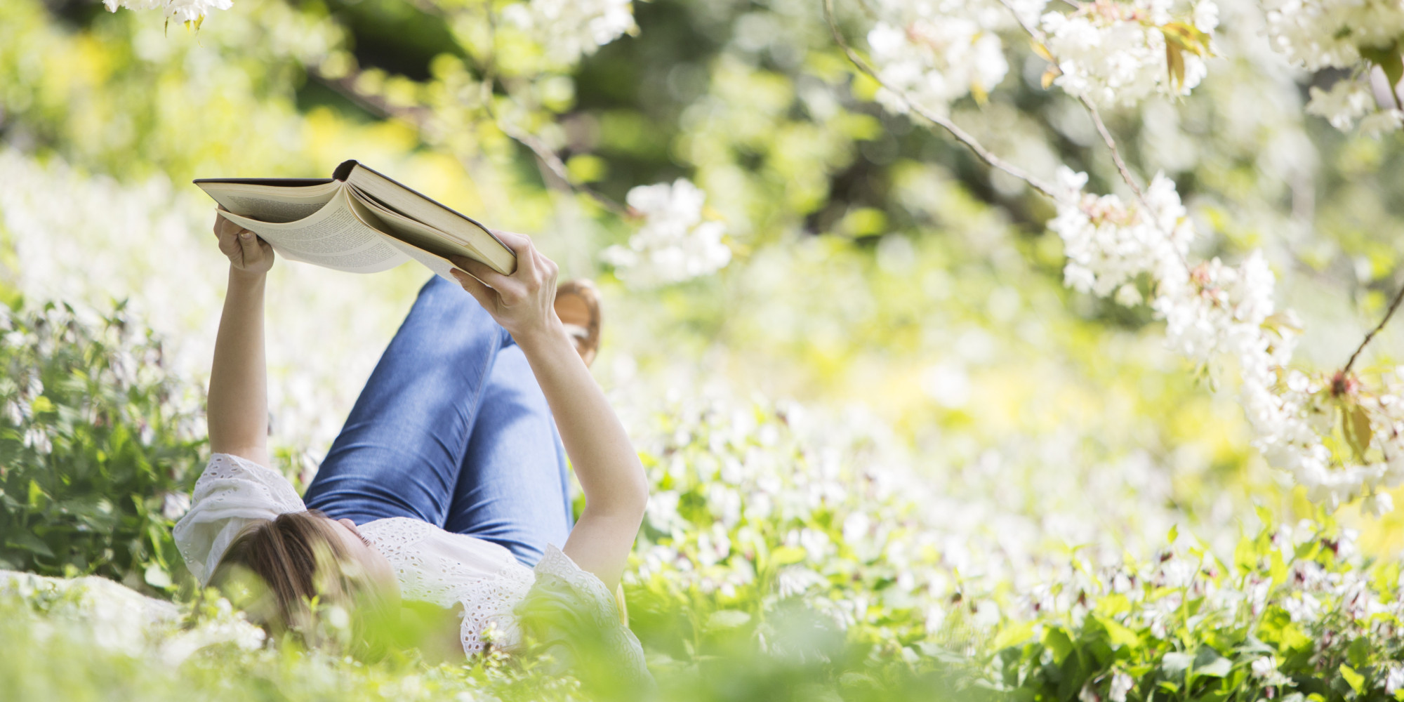 person reading in field of flowers