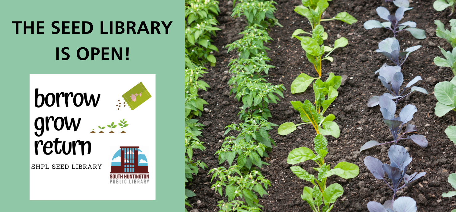 The seed library is open!
