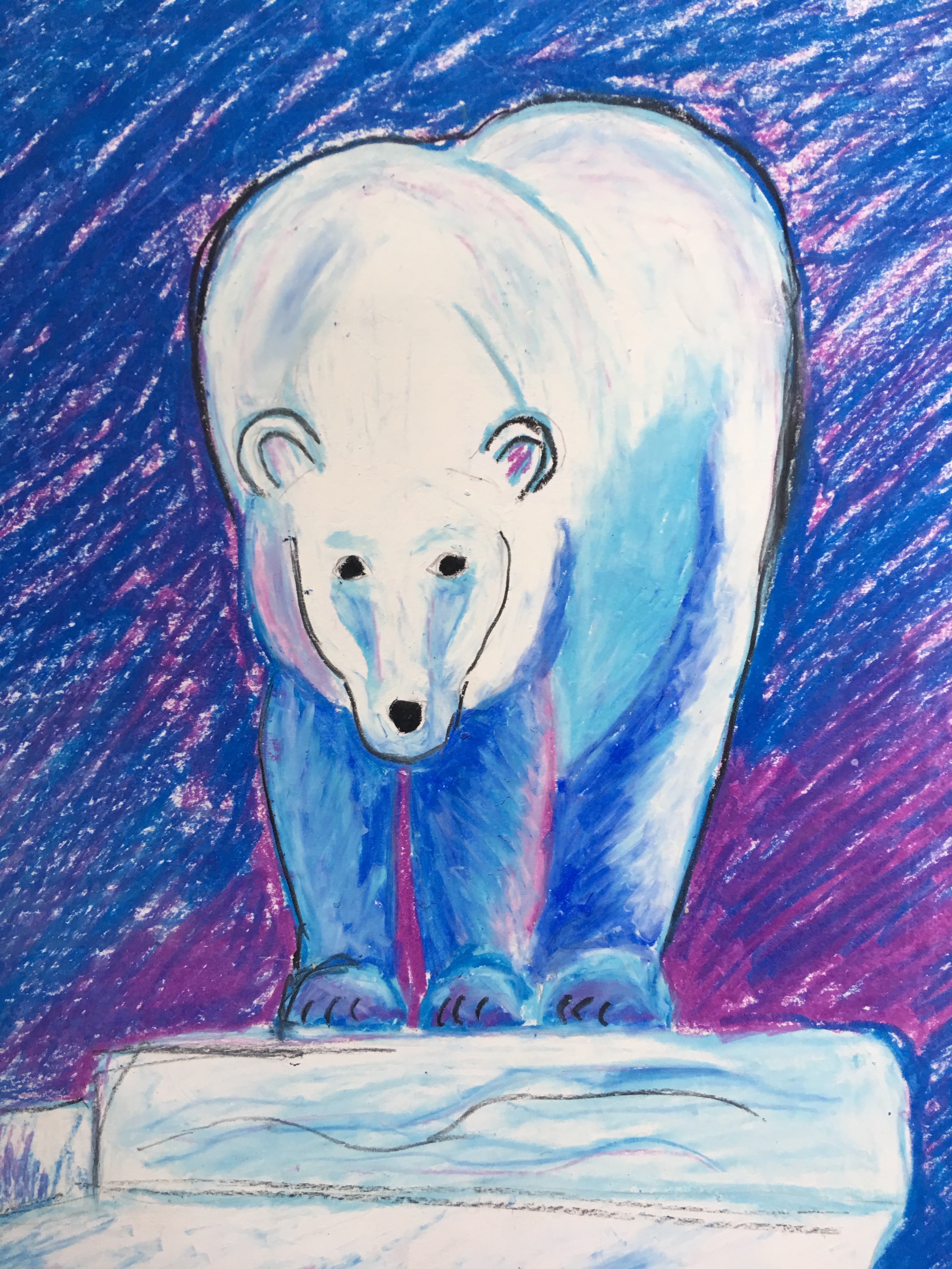 Polar Bear drawing