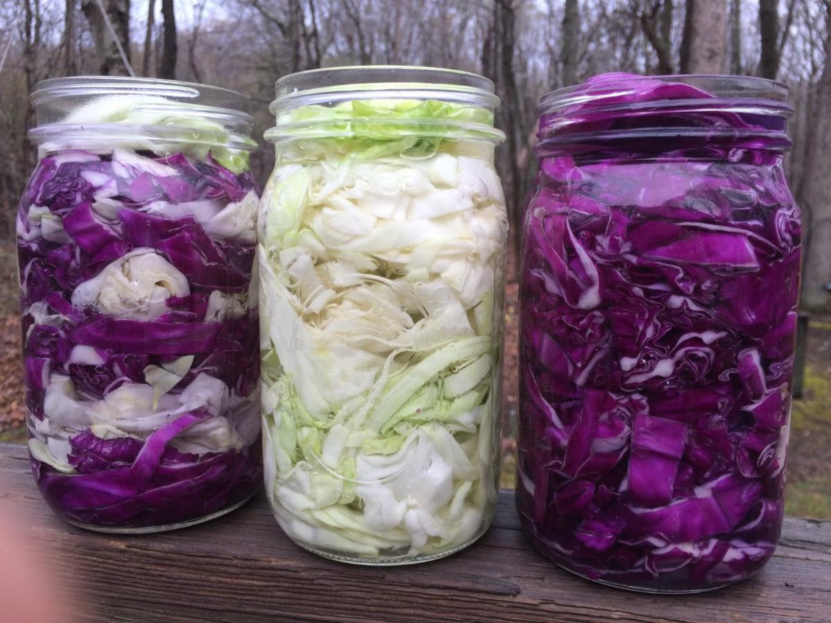 A color photo of three mason jars filled with fermented foods, including green and red cabbage.
