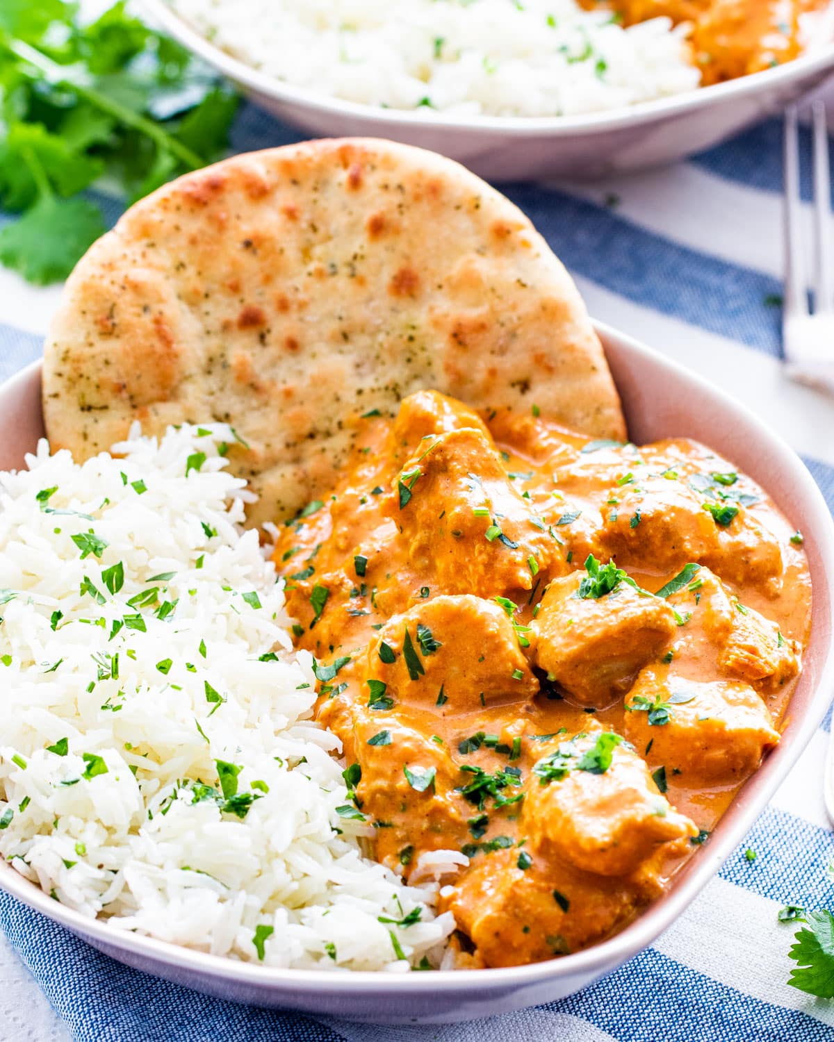A color photo of a white bowl filled with butter chicken, white rice and a round of pita bread.