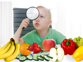 Searching for seeds in fruits and vegetables
