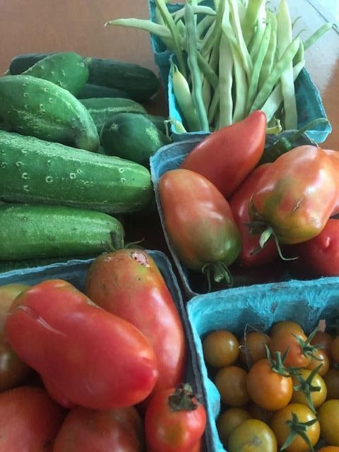 A color photo of homegrown vegetables, including tomatoes, cucumbers and green beans.