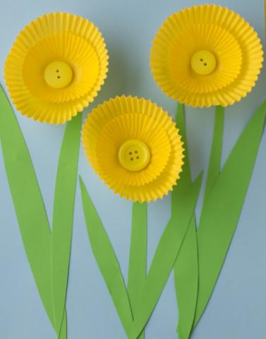 Cupcake-Liner Daffodils