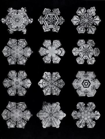 Wilson Bentley's photograph of snowflakes