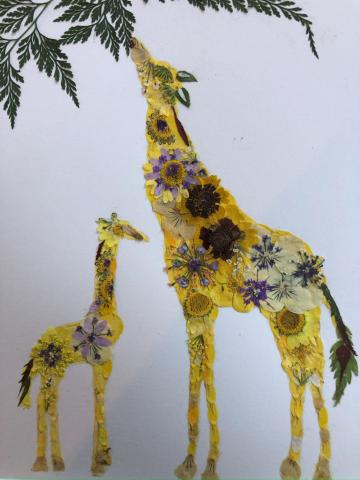 A color image of two giraffes made from dried flowers in shades of yellow and brown.