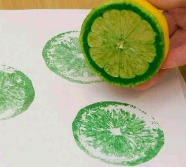 fruit slice art