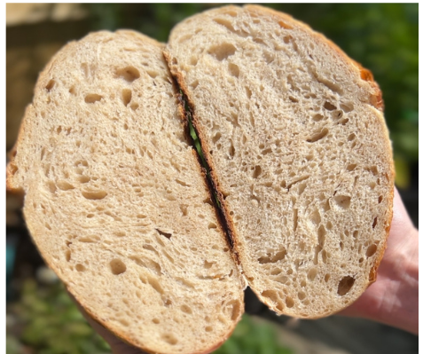 A photo of a cut loaf of sourdough bread.