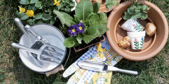 A photo of flower pots and gardening tools needed to plant house plants.