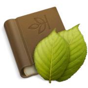 Graphic with a leaf and a family album.