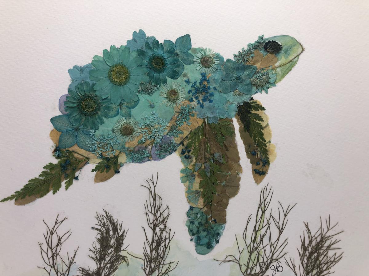A color image of a tortoise swimming underwater. He is made from pressed flowers in various shades of blue.