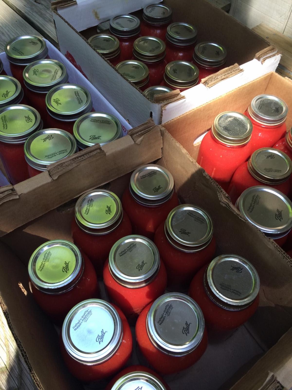 A color photo of mason jars filled with tomatoes and other vegetables in cardboard boxes.