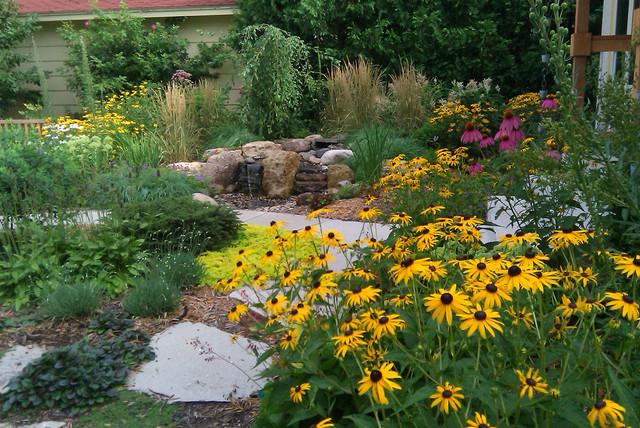 A color photo of a fall garden featuring yellow black-eyed Susan  flowers.