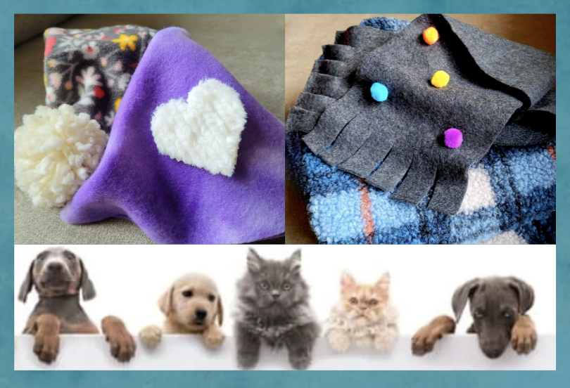 A graphic featuring petwear for cats or dogs.