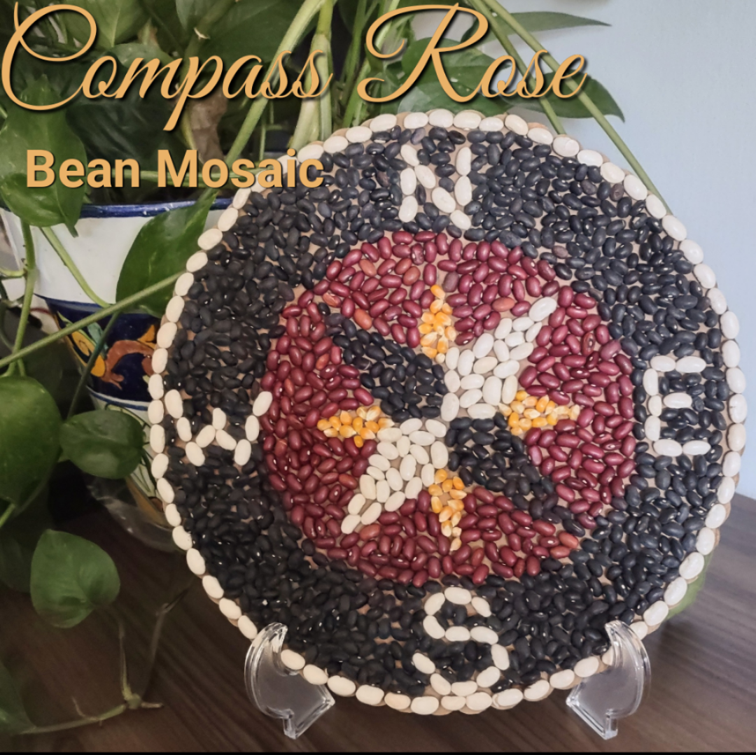 Compass rose bean art