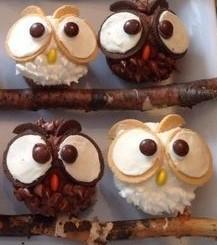 Owl Cupcakes