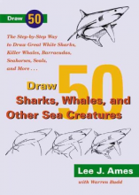 Draw 50 Sharks