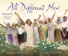 All Different Now book jacket