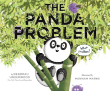 The Panda Problem book cover art
