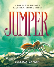 Jumper: A Day in the LIfe of a Backyard Jumping Spider, by Jessica Lanan
